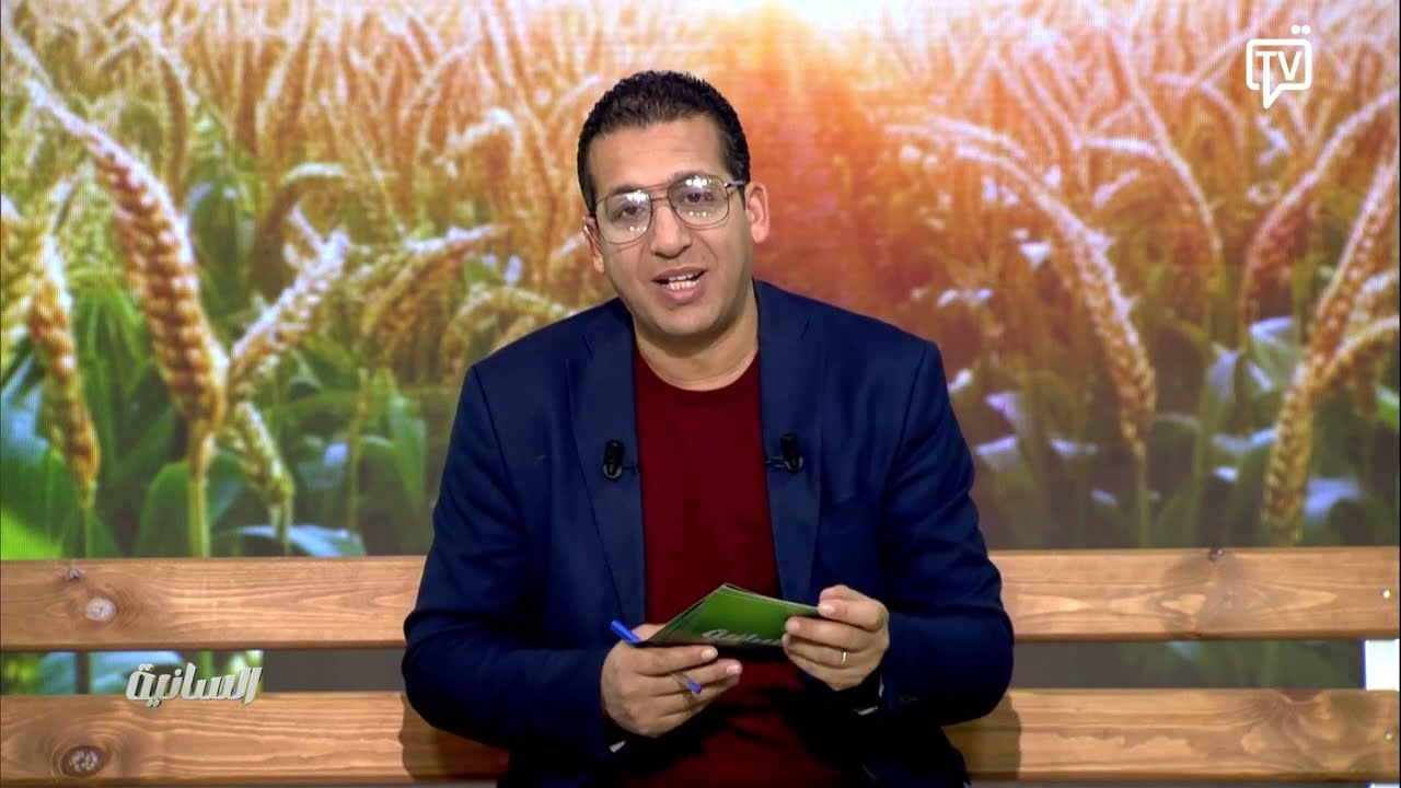 السانية essenia  | الحلقة 11  الجزء 1