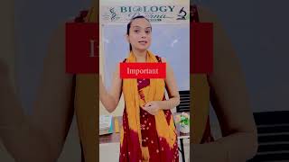 CBSE Rechecking Process 2026 😳 | Fees &amp; Steps Explained #rechekingcbse #cbse2026  #boardexam2026
