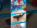 yipi kita berenang di laut #sea #animals #fish #fishing