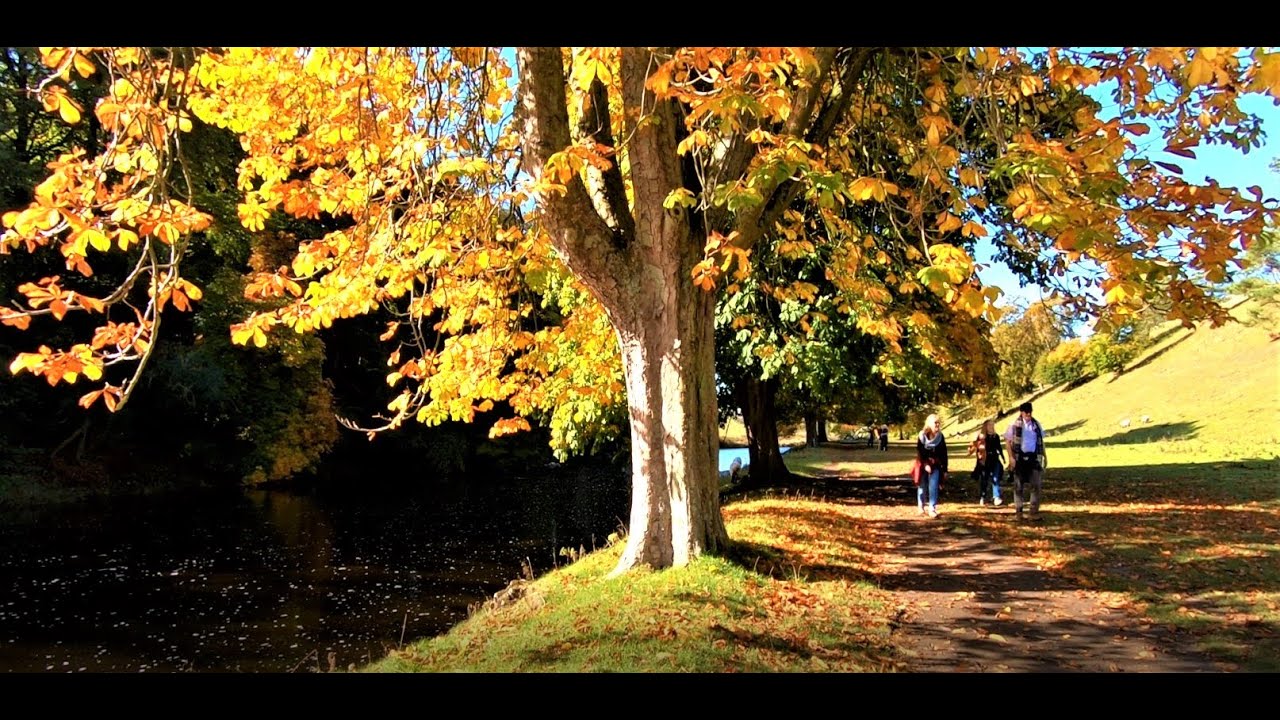 Autumn Walk In The Yorkshire Dales National Park
