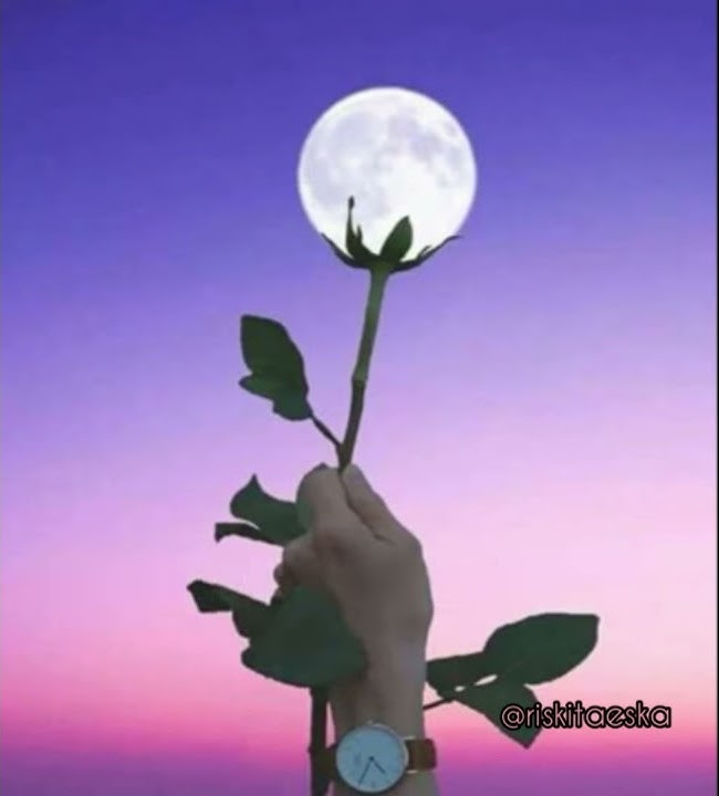 Story wa lagu kata-kata bikin baper ana uhibbuka Fillah ~ kata-kata 30detik