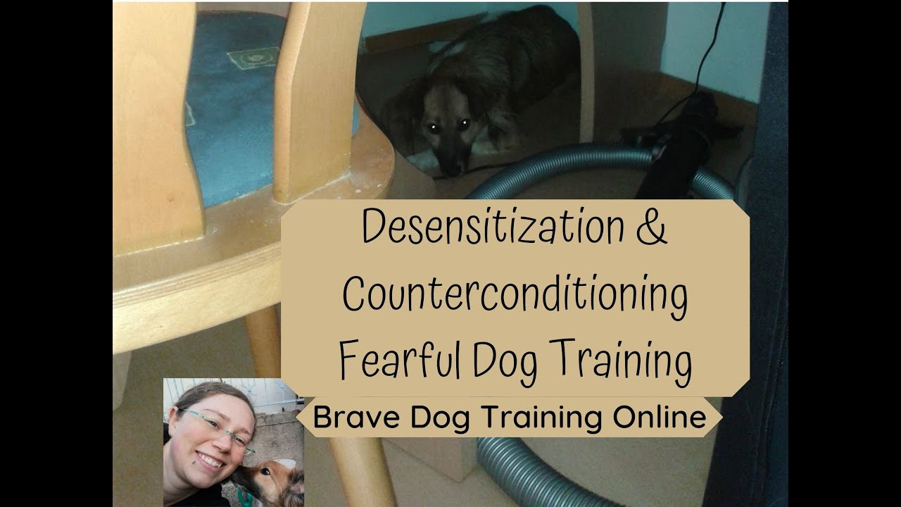 Desensitization and Counterconditioning Fearful/Reactiv Dog Training