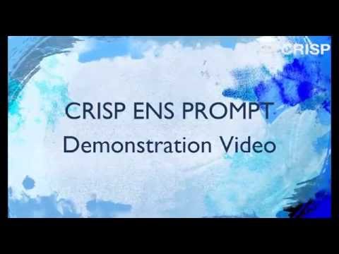 CRISP ENS PROMPT Demo v 2.1