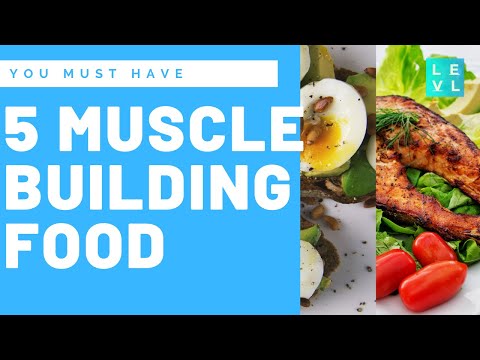 5-muscle-building-food-you-mus
