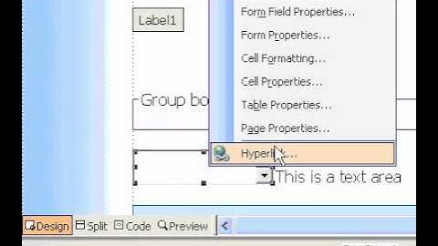 Microsoft Office FrontPage 2003 Delete a form field that is hidden