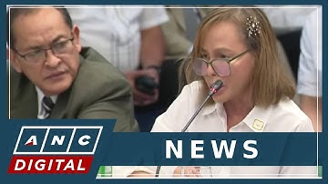 Leviste discloses DPWH ‘insertion,