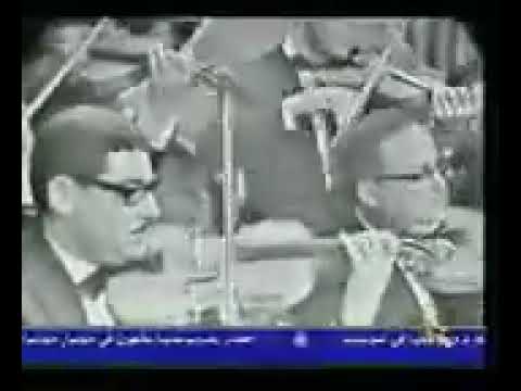 في جفونك مرود السحر استوى كلمات الشاعر الكبير لطفي جعفر أمان غناء الفنان الكبير أحمد بن أحمد قاسم