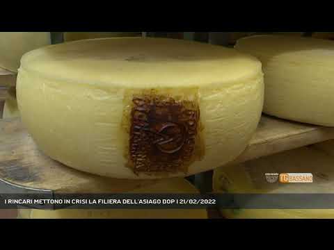 I RINCARI METTONO IN CRISI LA FILIERA DELL'ASIAGO DOP | 21/02/2022