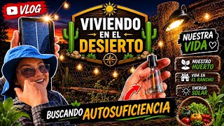 228~ INSTALAMOS LUCES SOLARES EN NUESTRO HUERTO Y NOS SORPRENDIÓ #lucessolares #huerto #blog