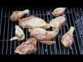 Grilled Honey Teriyaki BBQ Chicken Recipe