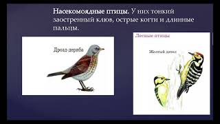 Экологические группы птиц/ Значение птиц/ Биология 7 класс/