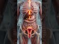 Period Cramps Explained – Why Does It Hurt