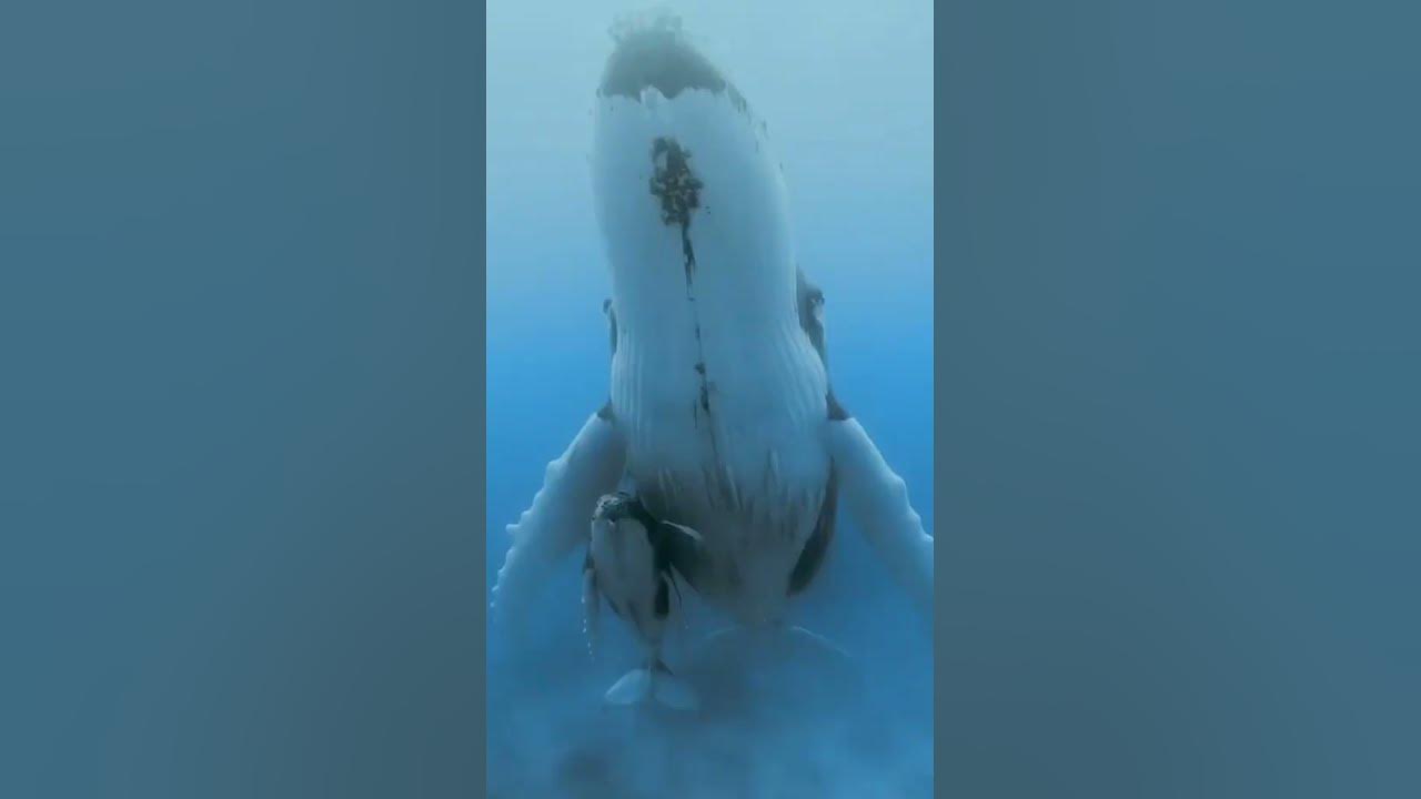 discovering-the-beauty-of-the-world-one-adventure-at-a-time-youtube