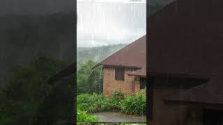 Jamaica Rain Sounds for Sleeping: Rain in Jamaica for Sleep, Meditation to relax #shorts #rainsounds