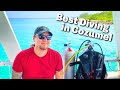 Best Diving in Cozumel Mexico | Dive Cozumel | Cozumel Boat Dives