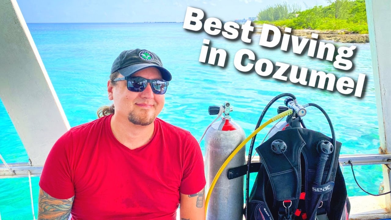 Best Diving in Cozumel Mexico Dive Cozumel Cozumel Boat Dives YouTube