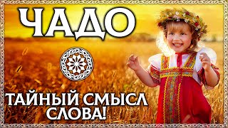 ЧАДО - тайный смысл слова! Буквица в помощь! ОСОЗНАНКА