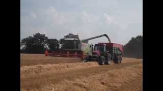 moisson de blé 2013