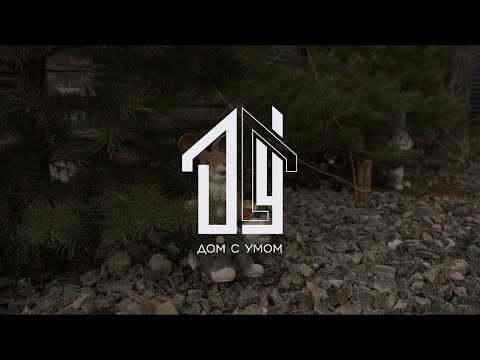 Дизайнерская Баня / Дизайнерская Беседка