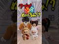 100マンのラブブVSボロボロのぬいぐるみ!?本当に価値があるのは…
