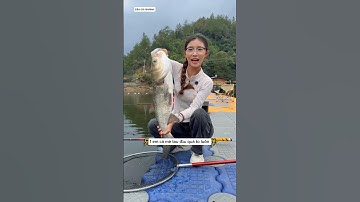 em cần thủ đeo kính đi câu cá hồ dịch vụ gặp anh chủ hồ nóng tính và cái kết #fishing #cauca