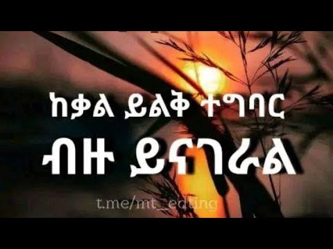 ሙከራ
