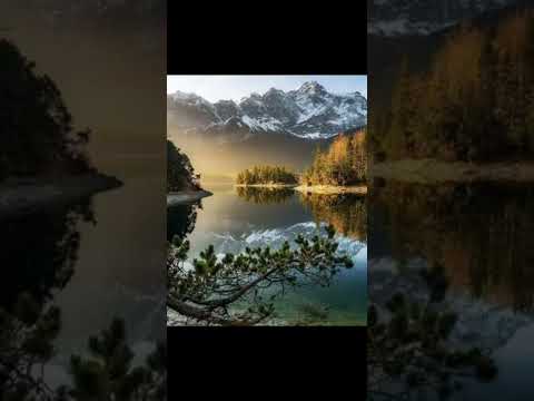 Кавер  