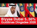 Biyyaa Dubai 5 5 6 Guddina Dingadee 2026 Keessatti Galmeesite