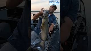 BIG CATFISH on Humminbird MEGA Live 2! #shorts