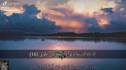 ارح سمعك...تلاوه هادئه تريح العقل والقلب ‏💚🎧| من سورة النازعات