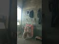 lagu thailand yang lagi viral #satuklikuntukwujudkanimpianmu #shorts