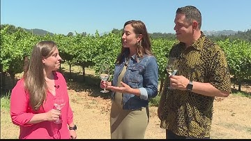 Charles Krug Winery -  An iconic Napa Valley Winery