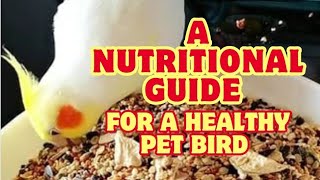 Cockatiel Care: A Nutritional Guide for a Healthy Pet Bird