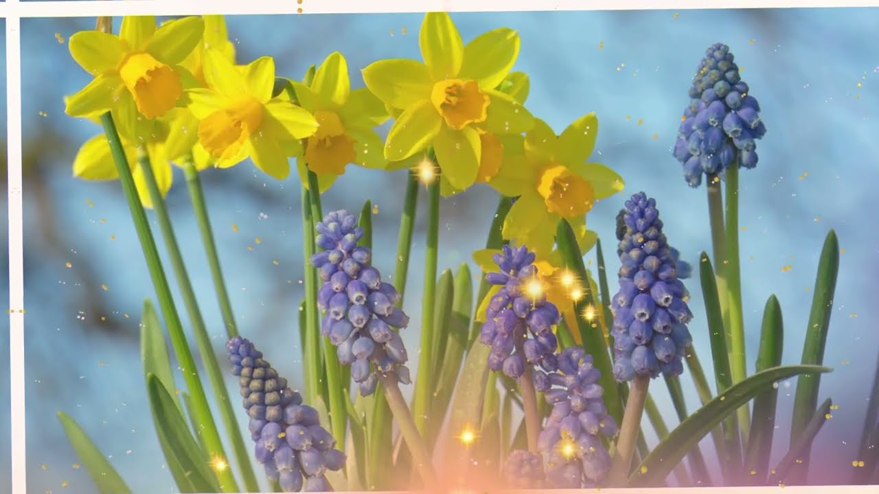 О Чём Молчат Большинство — Мудрый Совет 75-Летней Женщины, Меняющий Взгляд на Жизнь