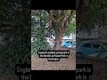 The smallest pocket park in England is in Darlington