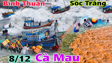  Bão Số 16 sắp hình thành ,Cà Mau hiện tượng lạ dòng nước 2 màu ,miền trung lũ lại về nhấn chìm 
