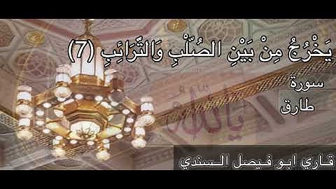 سورة الطارق بصوت القارئ أبو فيصل السندي