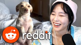 39daph Reacts to Reddit #53