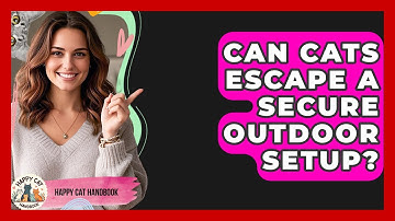 Can Cats Escape A Secure Outdoor Setup? - Happy Cat Handbook