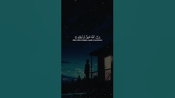اكتب شيء تؤجر عليه 😴💚 / القارئ عبد الرحمن مسعد | قران كريم
