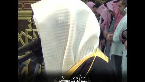 عالم الغيب والشهادة الكبير المتعال 😭 ~| تلاوة مبكية ورائعة من روائع الشيخ ناصر القطامي المؤثرة 😴🤍