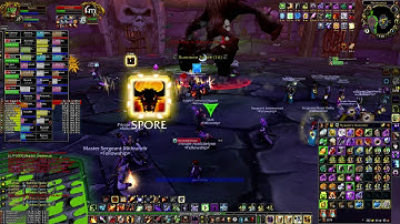 Loatheb - Fellowship Naxxramas - Mankrik US - WoW Classic