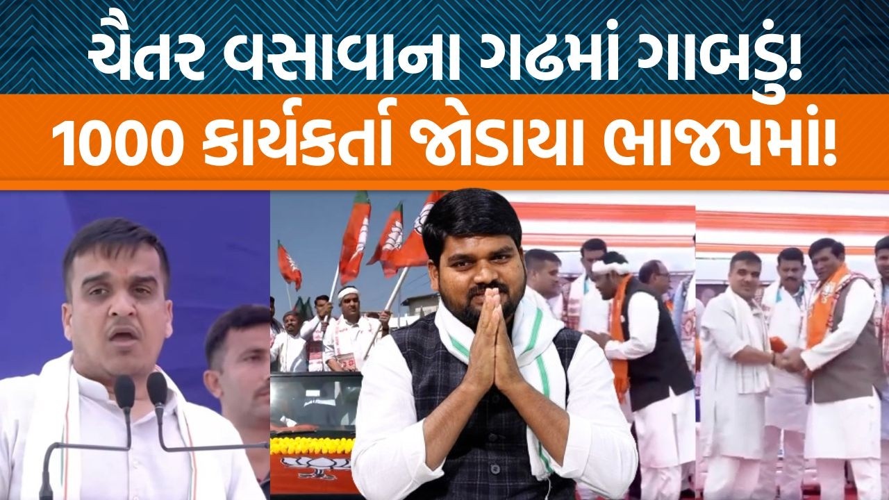 Chaitar vasavaના ગઢમાં હર્ષ સંઘવીની ગર્જના! ડેડીયાપાડામાં AAP સાફા? | Jamawat