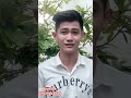 Hồng Hài Nhi quần jean siêu hot
