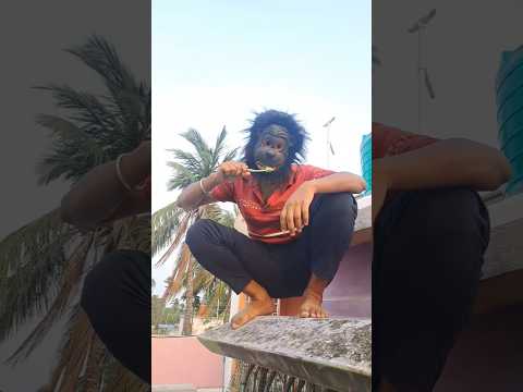 pritam funny video