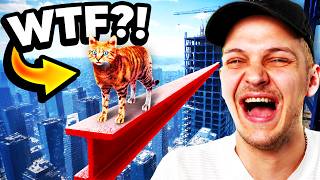 Ich muss DIESE KATZE sicher nach unten bringen!