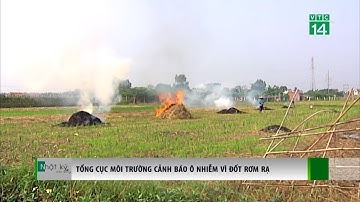 Ô nhiễm nặng nề vì đốt rơm rạ | VTC14