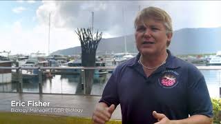 NESP Tropical Water Quality Hub - Synthesis Video
