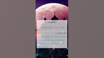 الشيخ محمد الفقيه راحة نفسية سورة فاطر ج ١