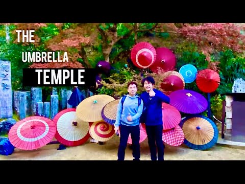 NARA Japan Travel Guide To Okadera Temple